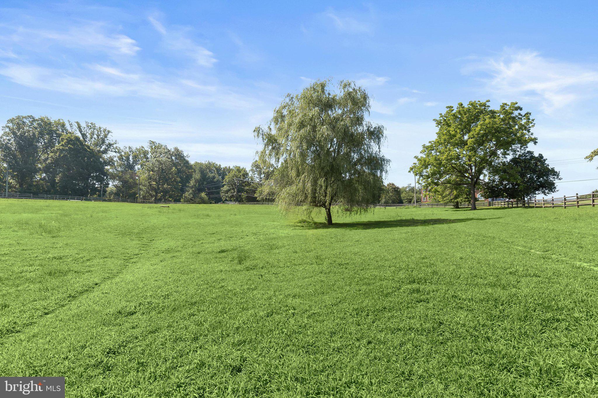 16510 Batchellors Forest Road Olney, MD 20832 - Photo 76 of 107 Pasture