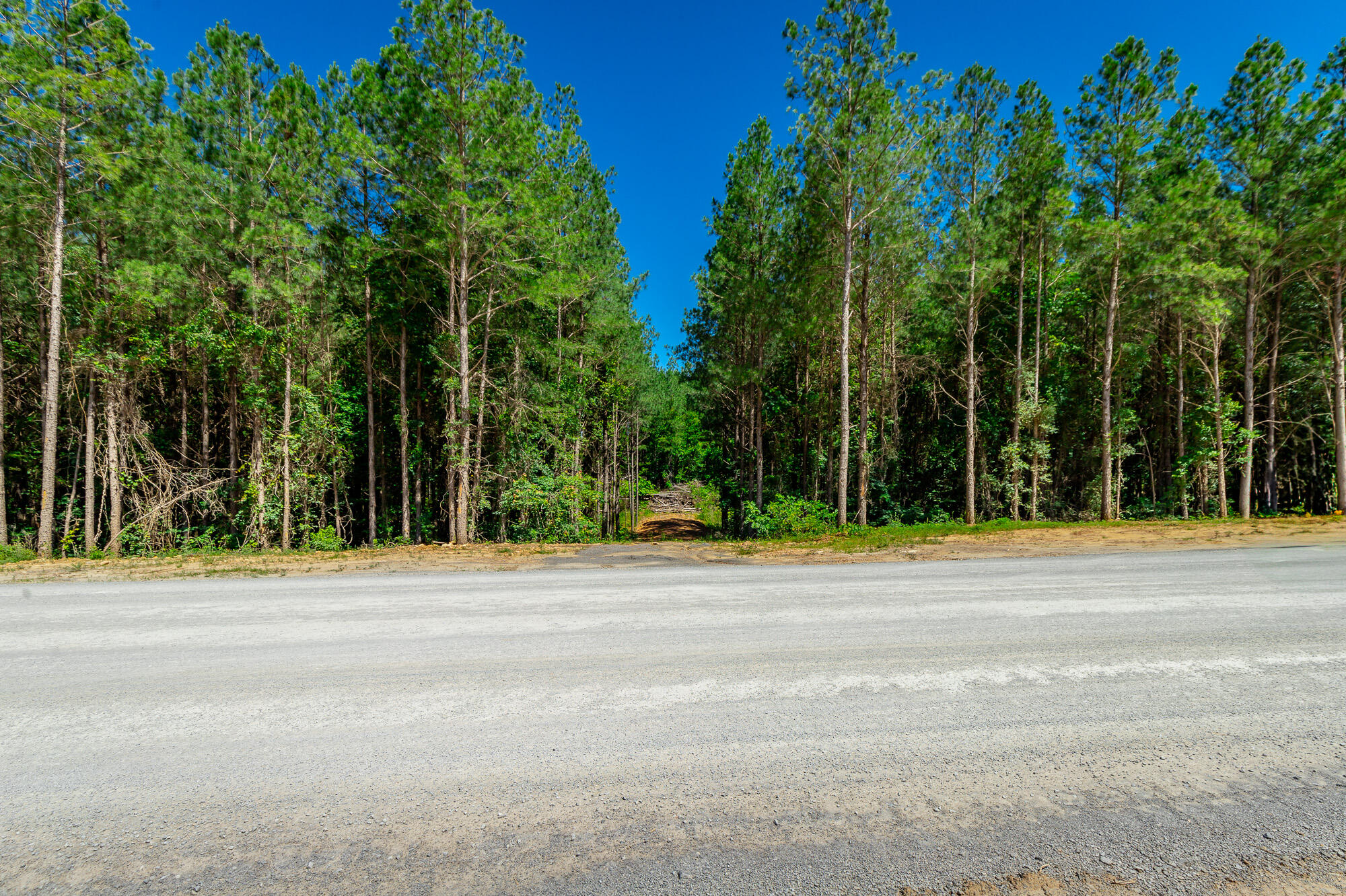 0 Split Rail Way, Unit LOT 1163 Guild, TN 37340 - Photo 22 of 118 River Gorge Lot 1163 HD-5