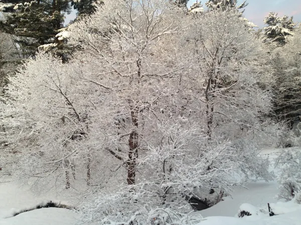 $499,000 | 38 Main Street, Lisbon Falls, ME 04252