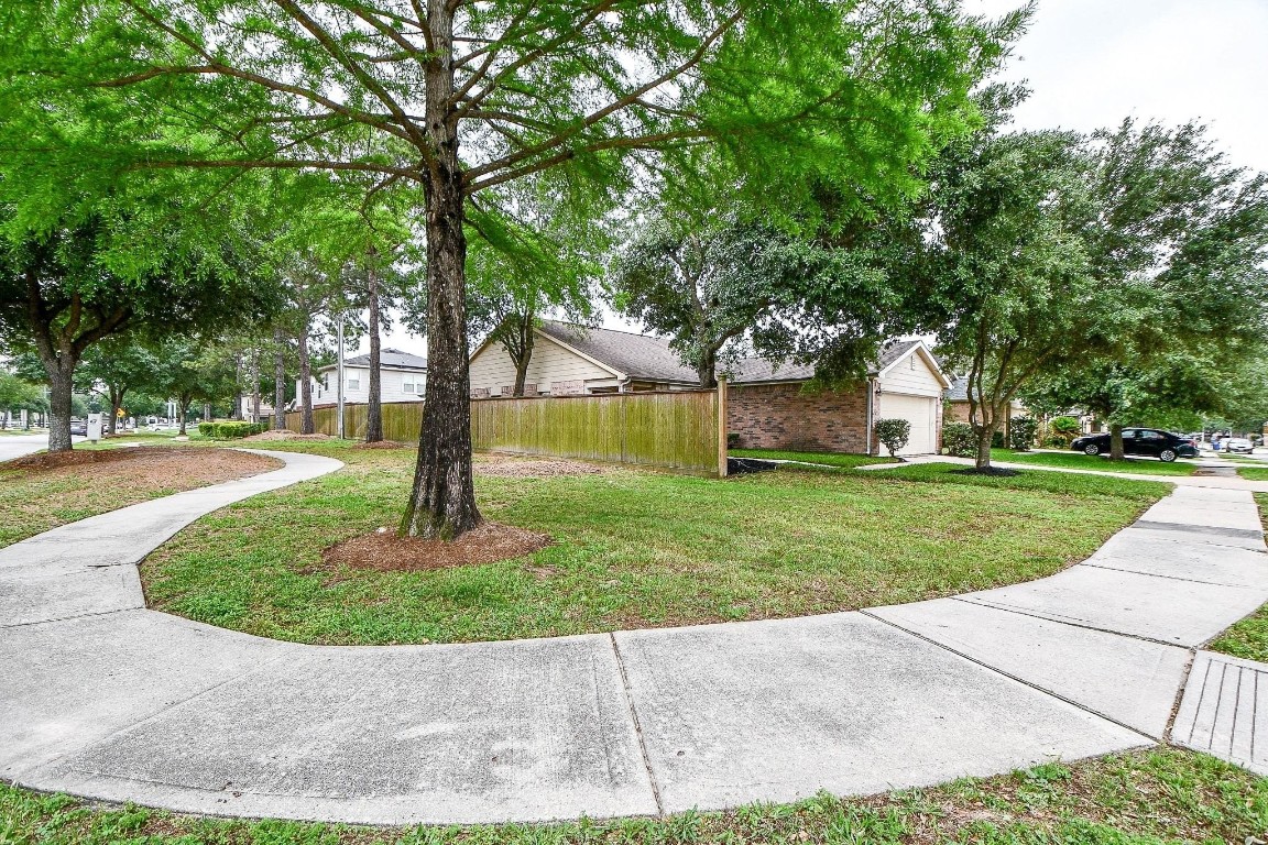 29530 Legends Glen Drive Spring, TX 77386 - Photo 49 of 50 a view of a garden with palm trees
