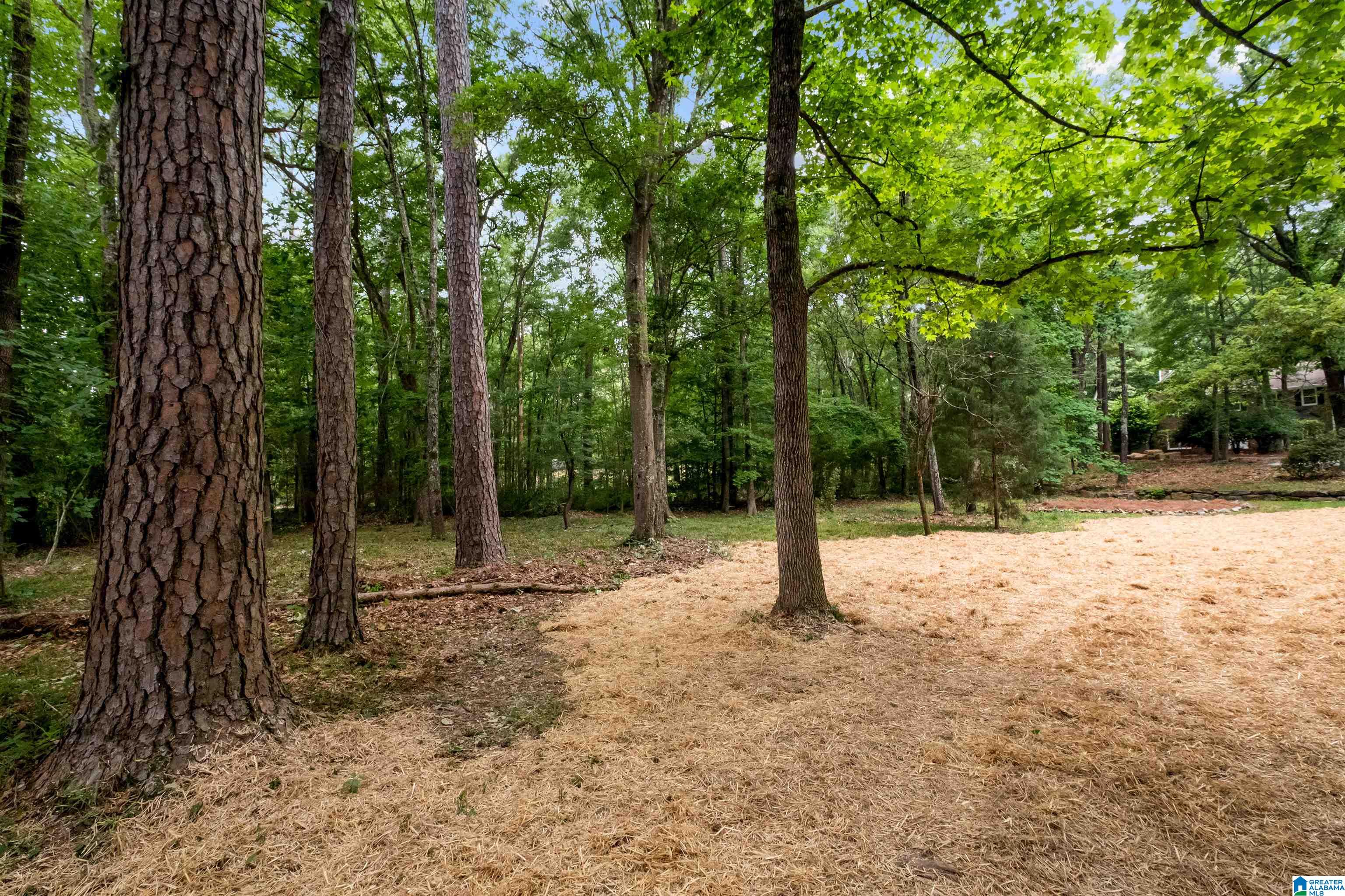 6228 Cahaba Valley Road Birmingham, AL 35242 - Photo 10 of 58