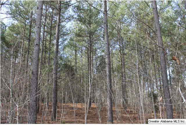 9 Highway 9, Unit 84 Lineville, AL 36266 - Photo 9 of 16