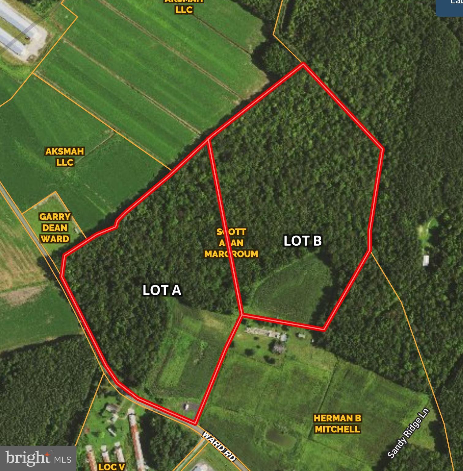 Lot B Ward Road Pocomoke City, MD 21851 - Photo 1 of 19