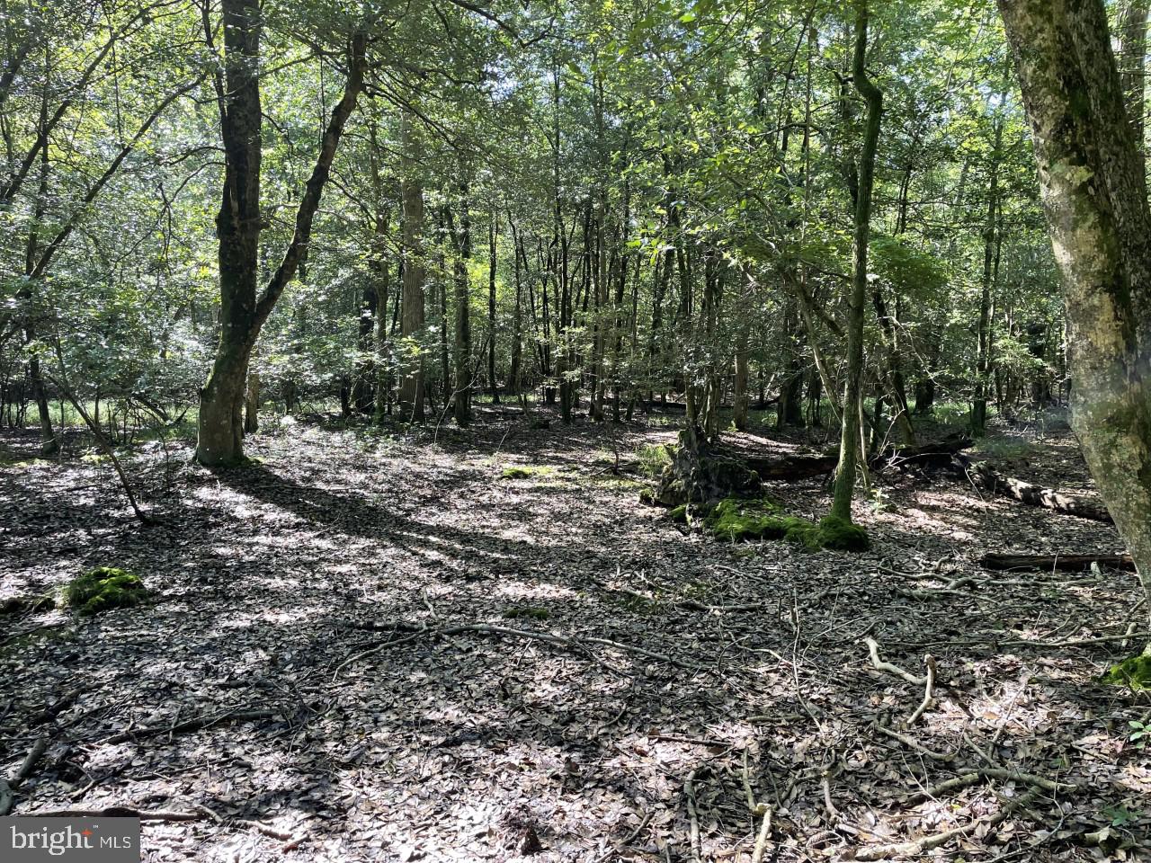 Lot B Ward Road Pocomoke City, MD 21851 - Photo 13 of 19