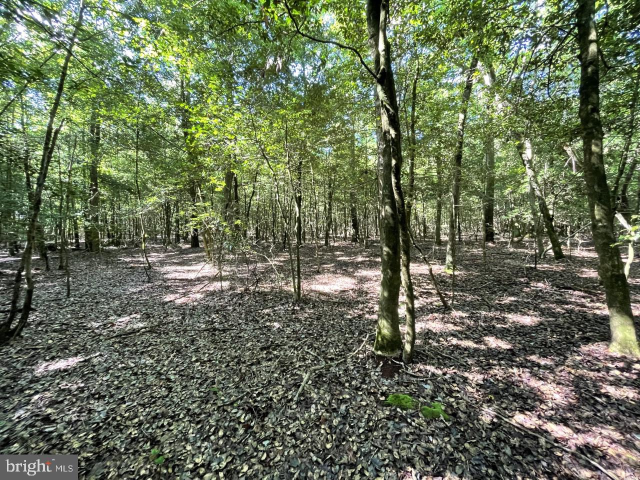 Lot B Ward Road Pocomoke City, MD 21851 - Photo 17 of 19