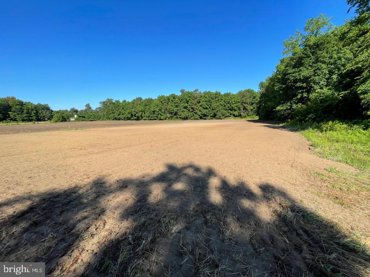 Lot B Ward Road Pocomoke City, MD 21851 - Photo 3 of 19