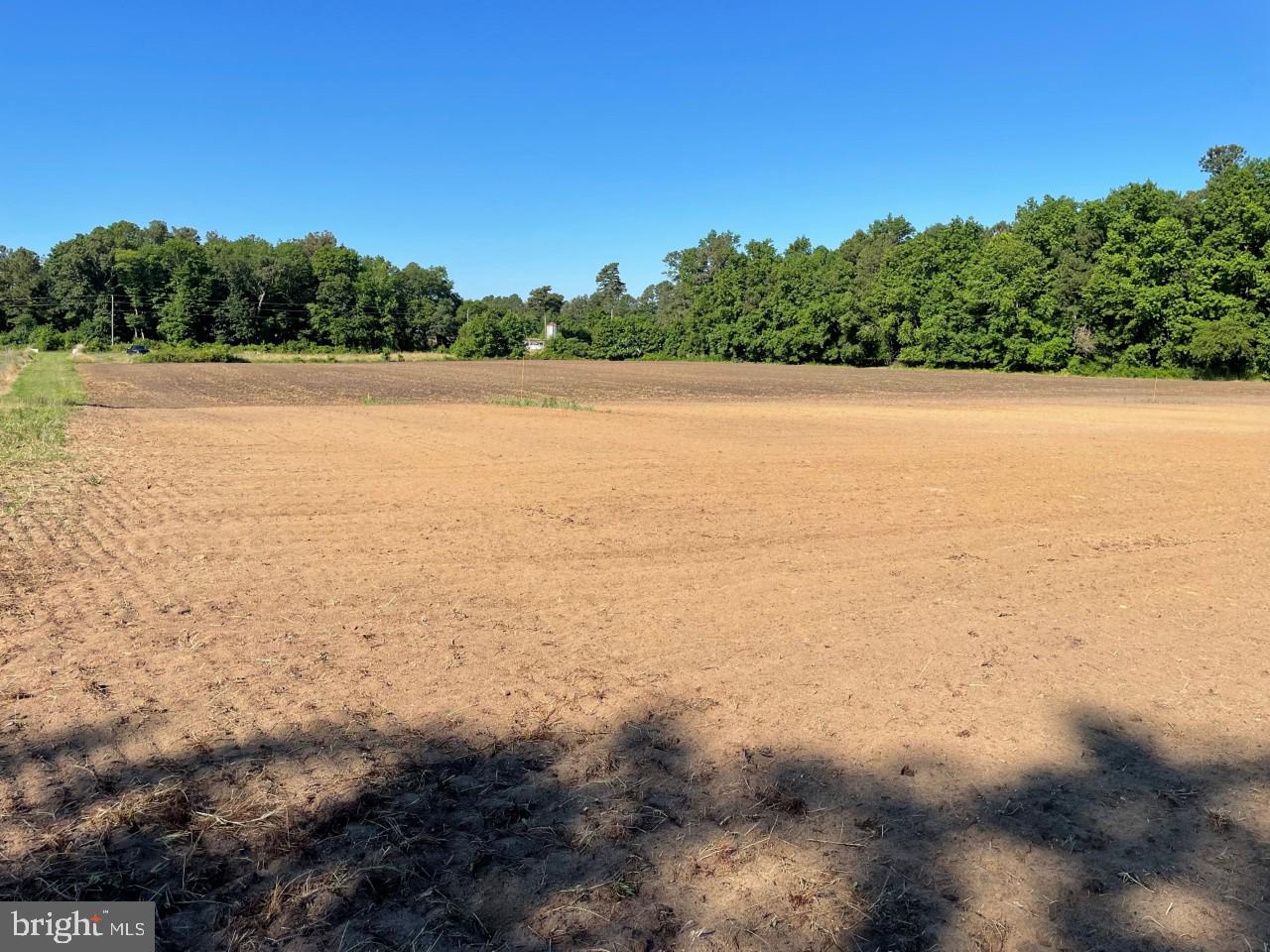 Lot B Ward Road Pocomoke City, MD 21851 - Photo 4 of 19
