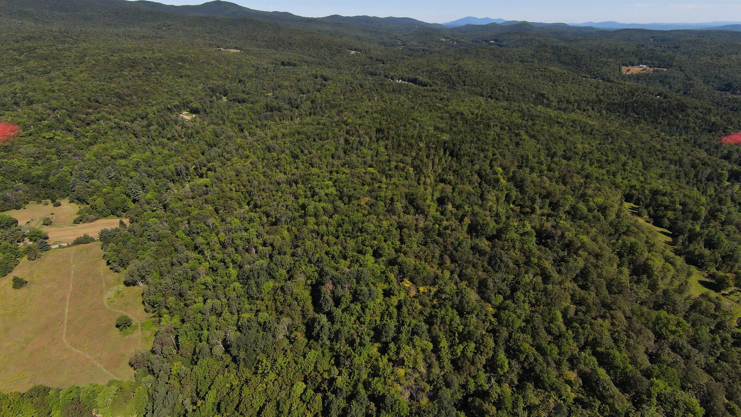 0 Warren Mountain Road Roxbury, VT 05669 - Photo 14 of 30