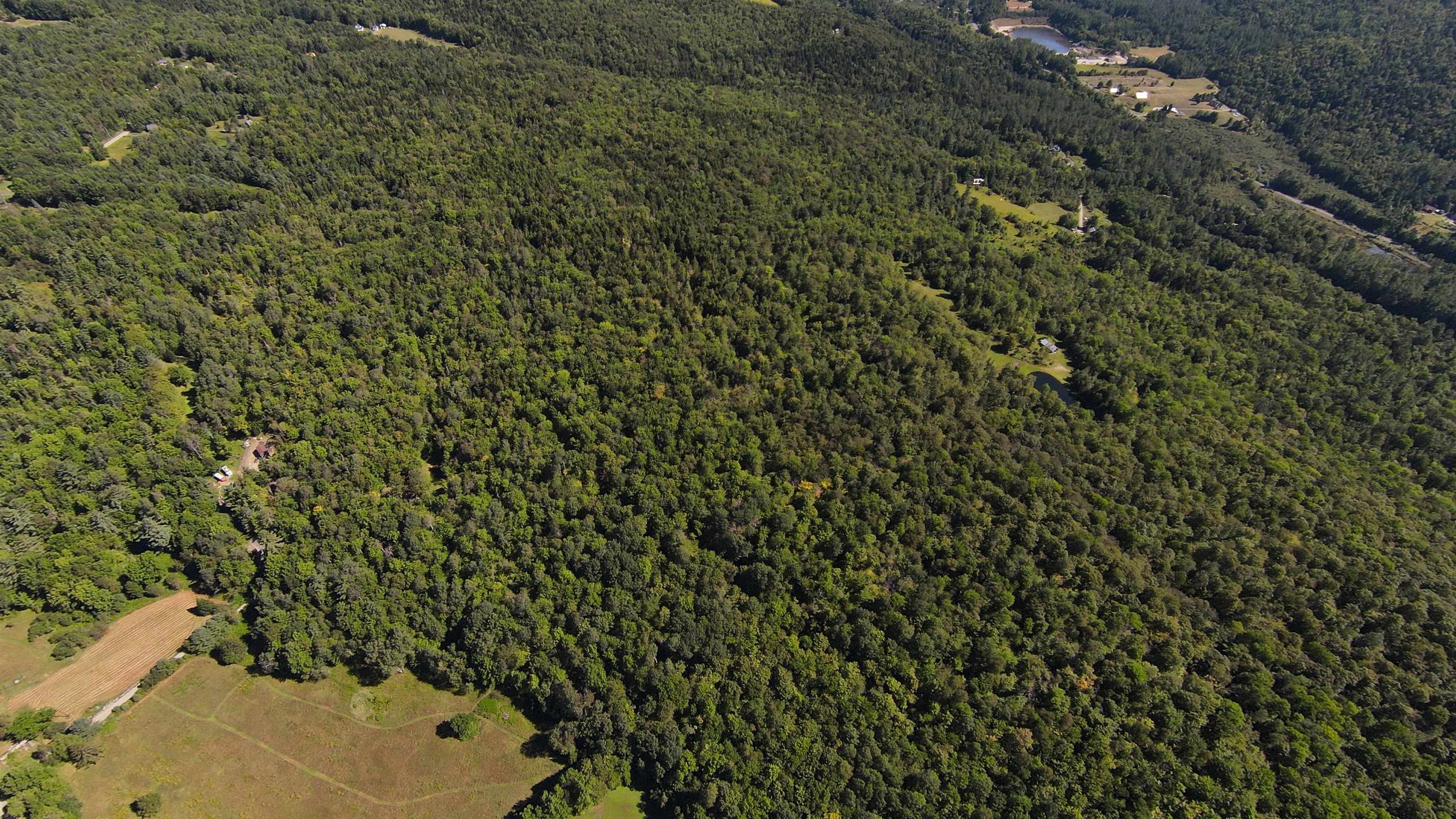0 Warren Mountain Road Roxbury, VT 05669 - Photo 16 of 30