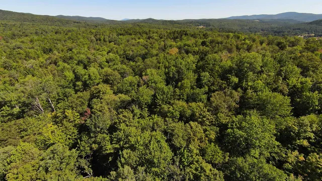 $95,000 | 0 Warren Mountain Road, Roxbury, VT 05669