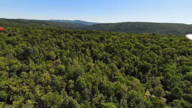 $95,000 | 0 Warren Mountain Road, Roxbury, VT 05669