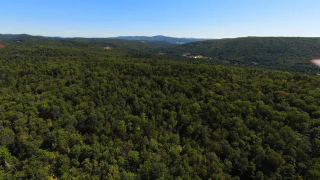 $95,000 | 0 Warren Mountain Road, Roxbury, VT 05669