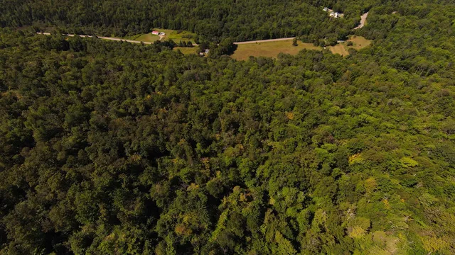 $95,000 | 0 Warren Mountain Road, Roxbury, VT 05669