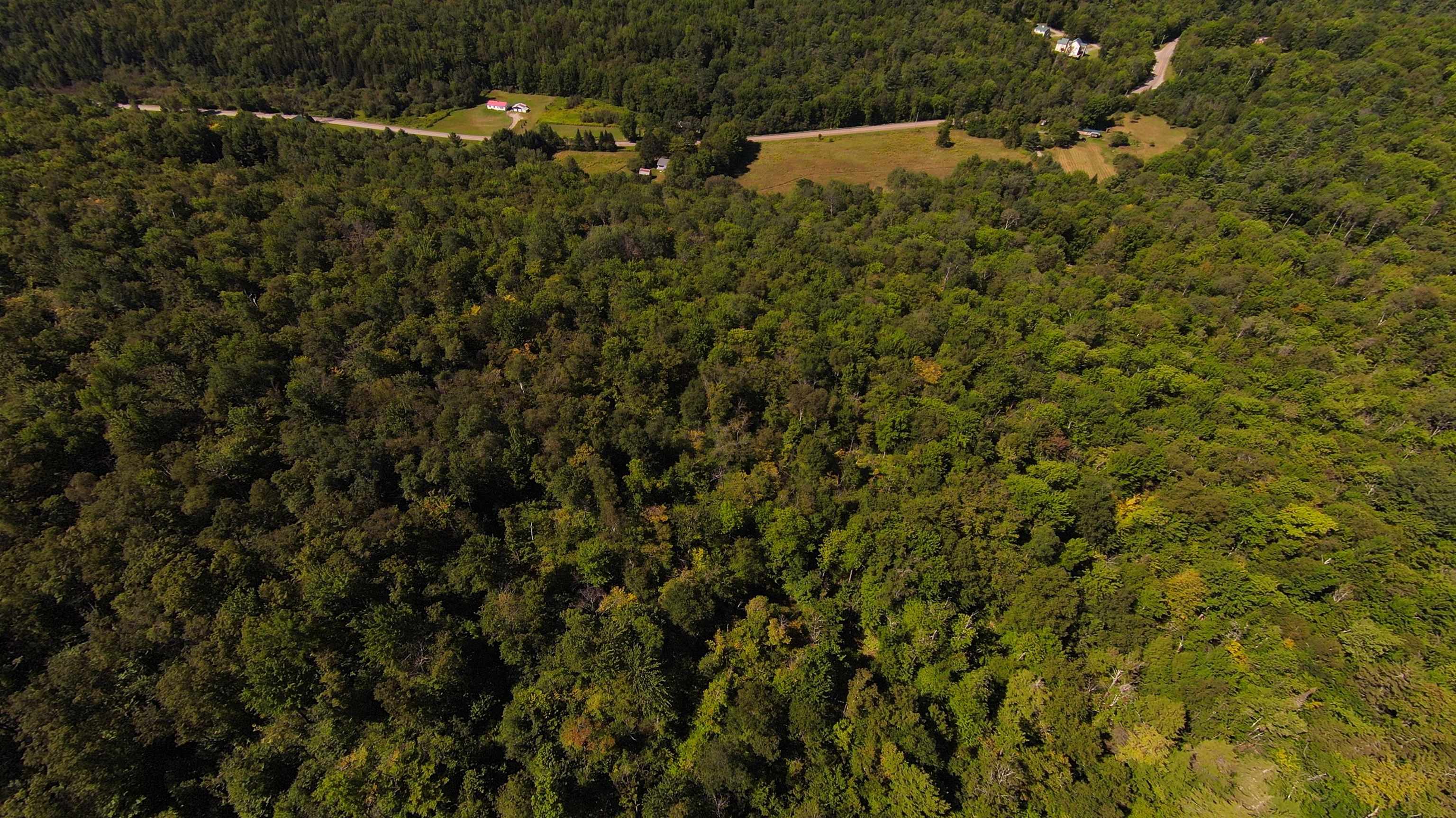 0 Warren Mountain Road Roxbury, VT 05669 - Photo 25 of 30