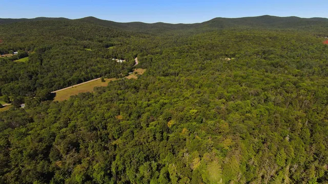 $95,000 | 0 Warren Mountain Road, Roxbury, VT 05669