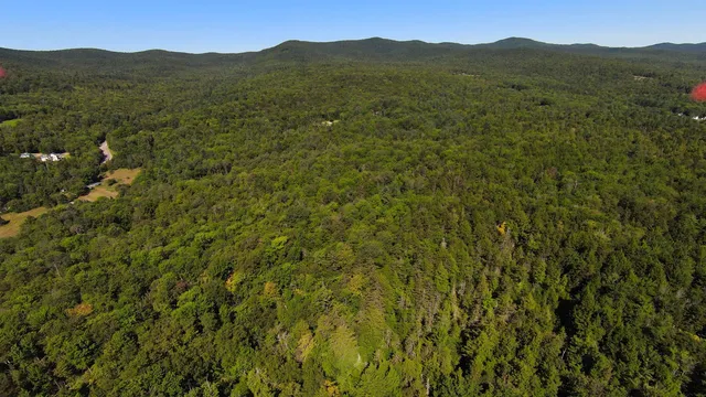 $95,000 | 0 Warren Mountain Road, Roxbury, VT 05669