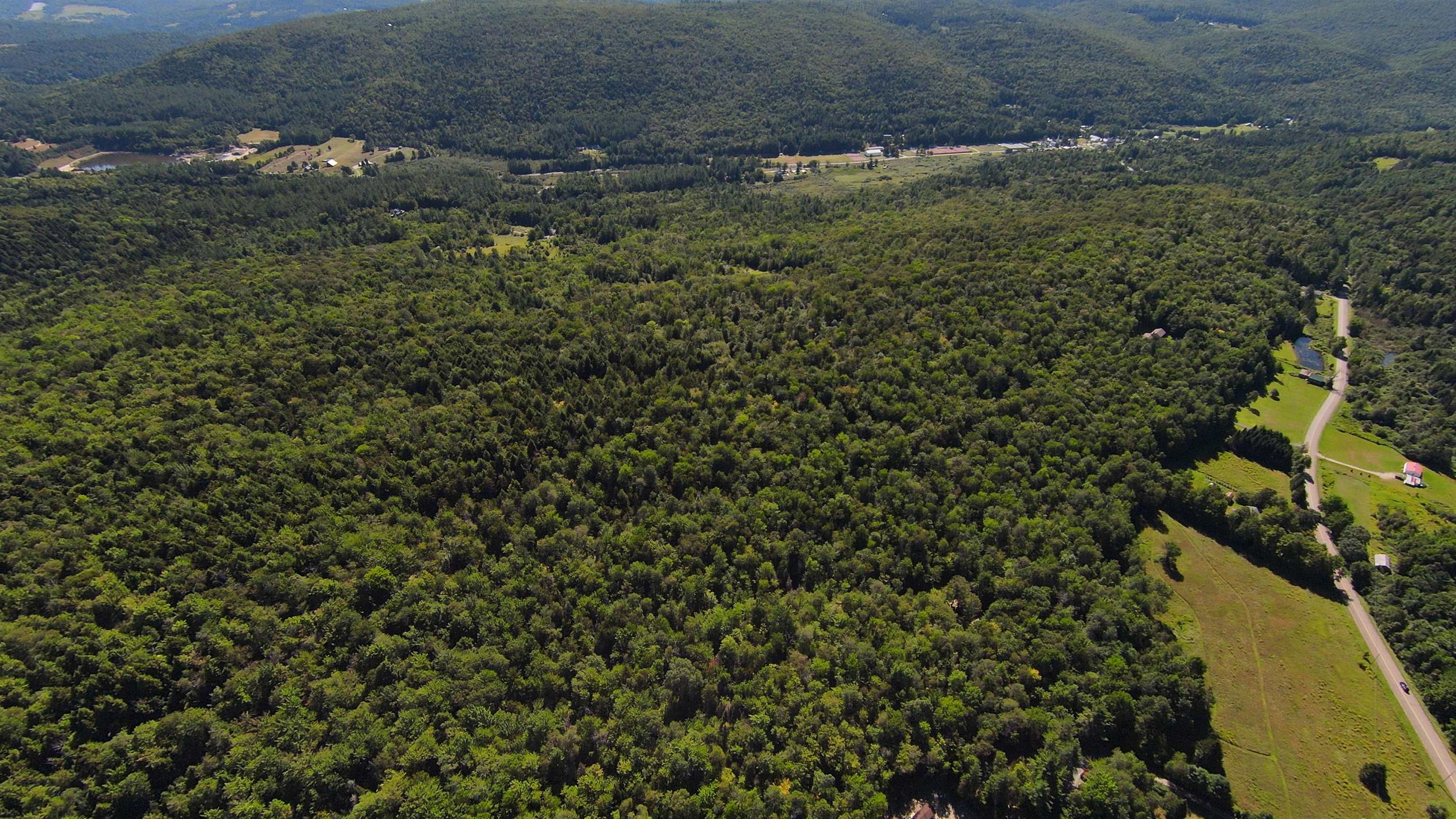 0 Warren Mountain Road Roxbury, VT 05669 - Photo 4 of 30