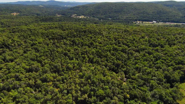 $95,000 | 0 Warren Mountain Road, Roxbury, VT 05669