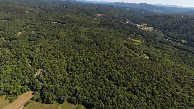 $95,000 | 0 Warren Mountain Road, Roxbury, VT 05669