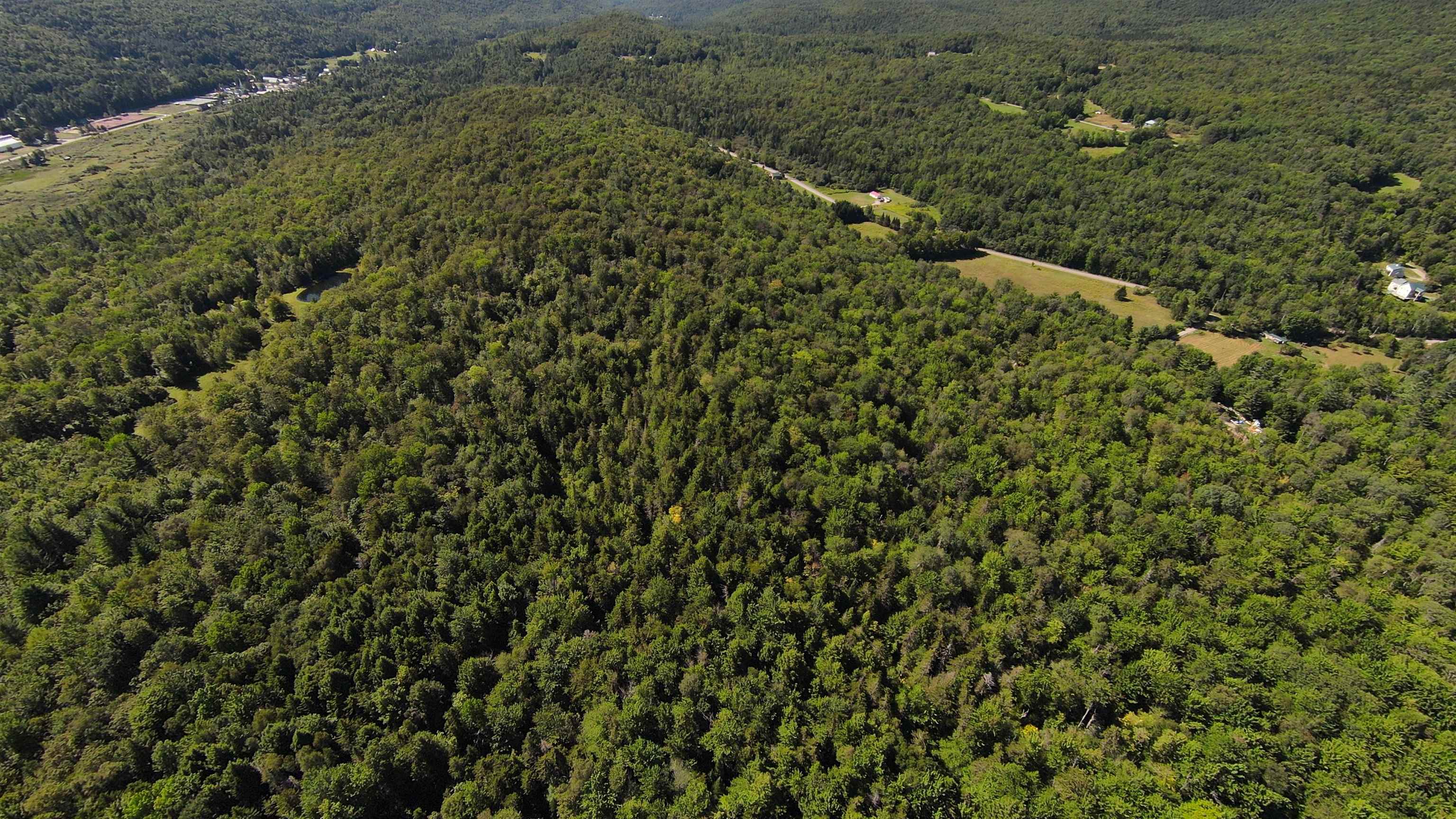 0 Warren Mountain Road Roxbury, VT 05669 - Photo 10 of 30