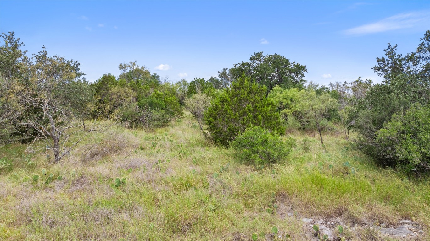108 Cross Trail Spicewood, TX 78669 - Photo 18 of 36 a view of a field with plants and trees in the background