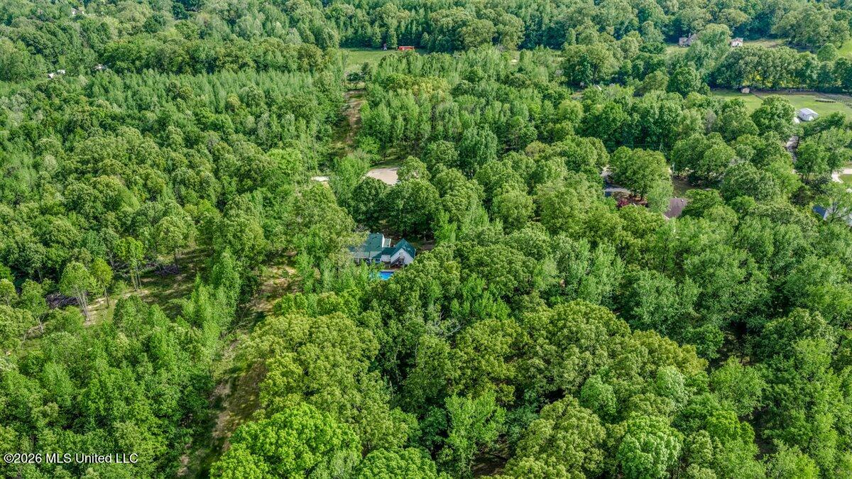 3876 Kyle Lane Hernando, MS 38632 - Photo 11 of 52 05-DJI_20260415162820_0377_D-Edit