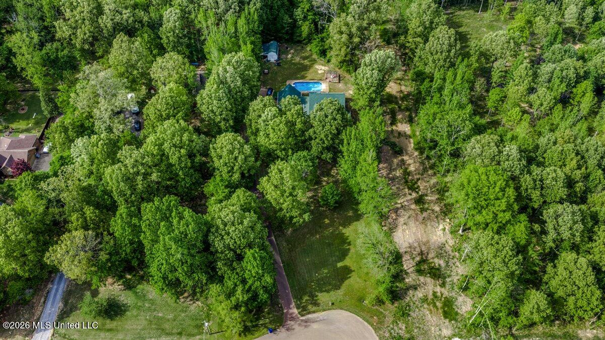 3876 Kyle Lane Hernando, MS 38632 - Photo 12 of 52 04-DJI_20260415162738_0374_D-Edit