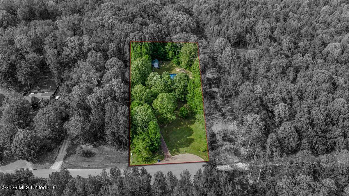 3876 Kyle Lane Hernando, MS 38632 - Photo 10 of 52 03-DJI_20260415162724_0371_D-Edit