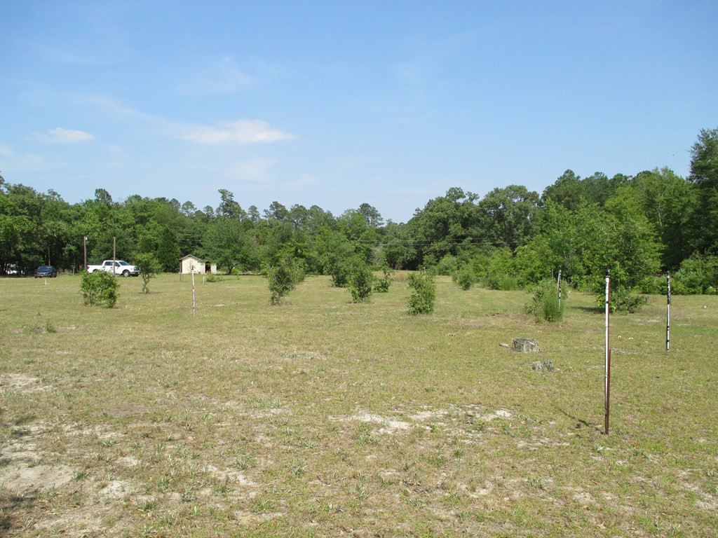 4520 Pinewood Road Sumter, SC 29154 - Photo 14 of 18 Gallery Image 14