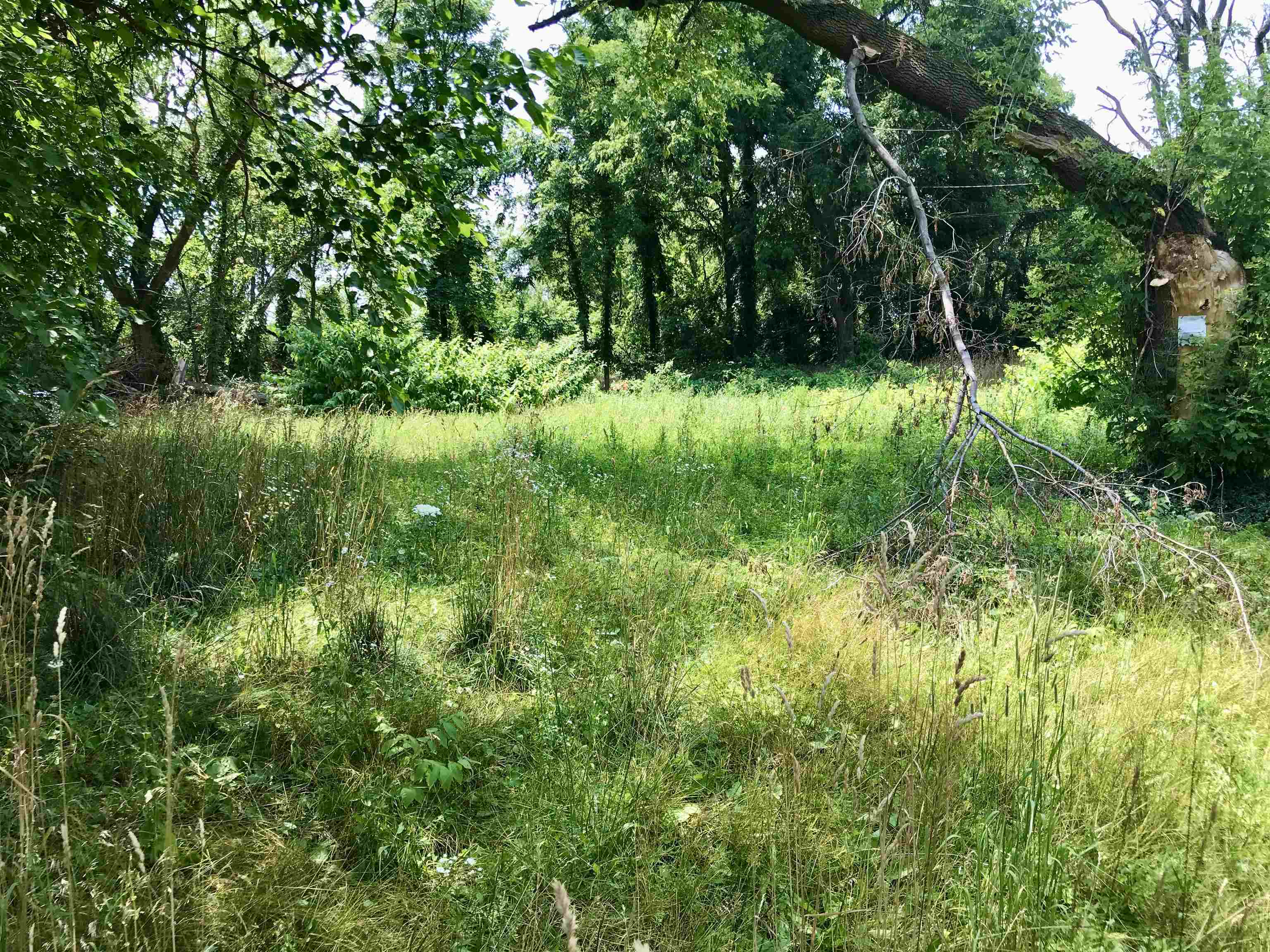 3382 South Isabella Road Mount Pleasant, MI 48858 - Photo 7 of 10 1925083-91736f31-cf04-4658-a164-b2c0a256a622.JPG