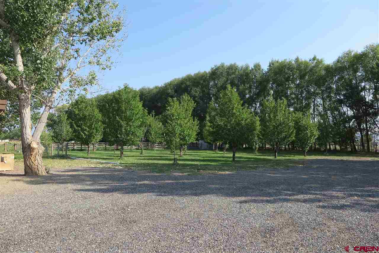 2339 H Road Grand Junction, CO 81505 - Photo 28 of 29 Gallery Image 28