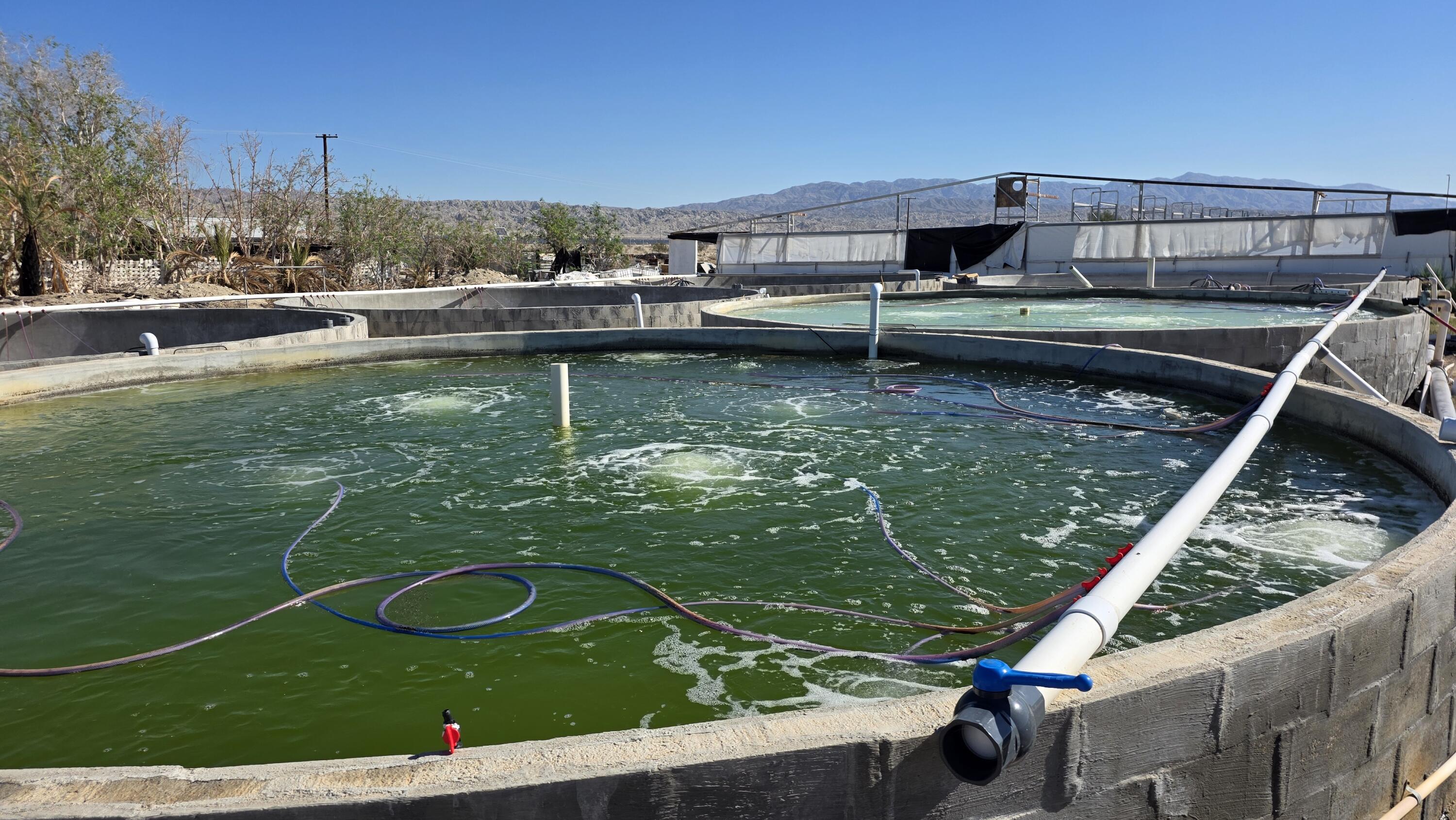 96400 70th Avenue Mecca, CA 92254 - Photo 15 of 15 a view of swimming pool from a balcony