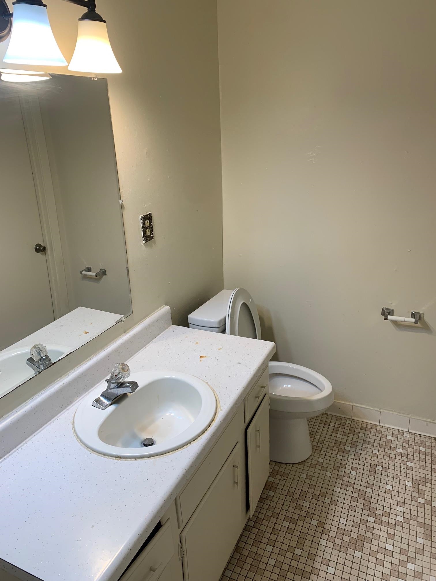677 Miles, Unit 677 Memphis, TN 38111 - Photo 5 of 17 a bathroom with a sink and a toilet