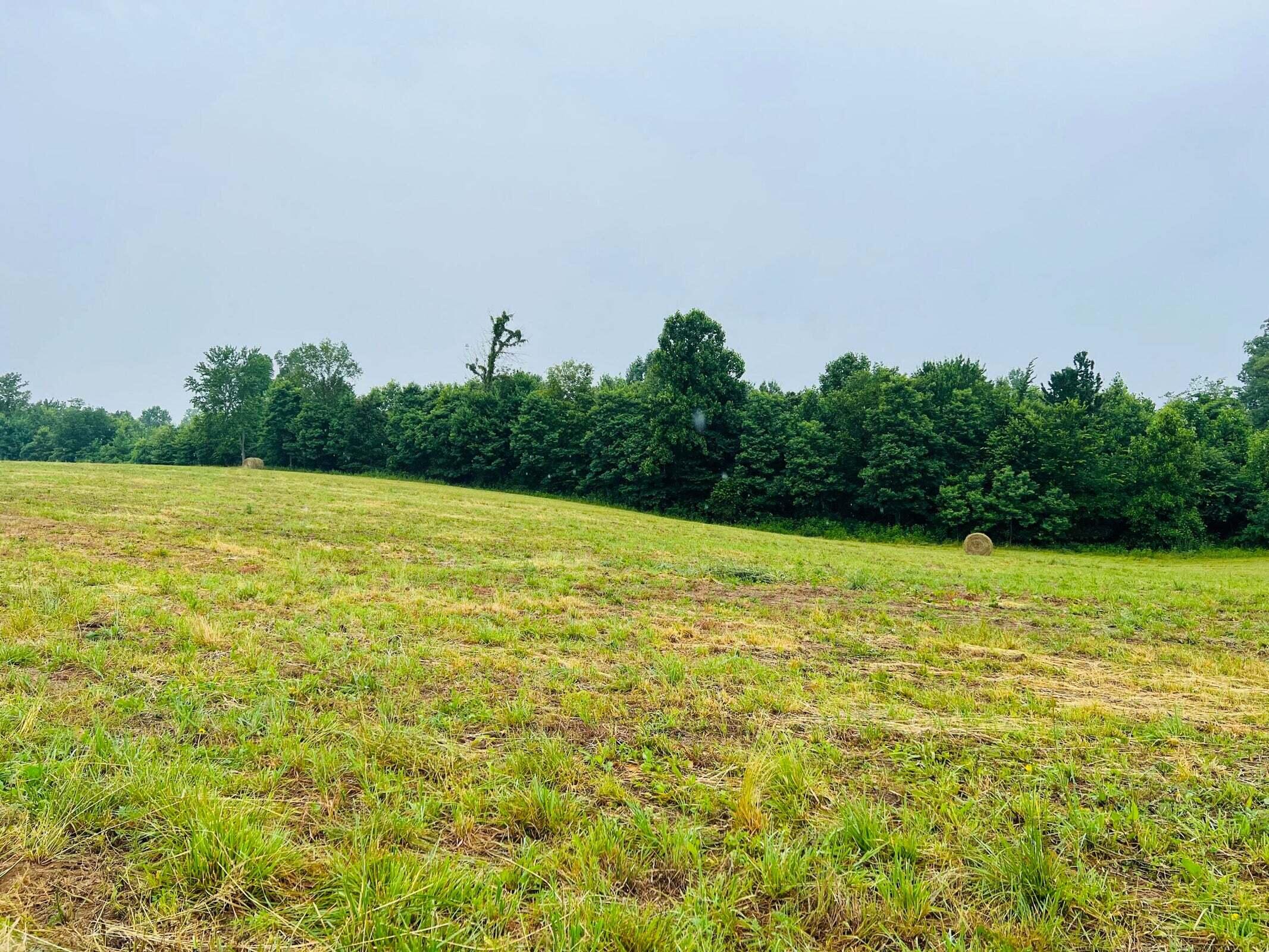 13 Purdy Sano Road Columbia, KY 42728 - Photo 7 of 12 20230619185426035589000000-o