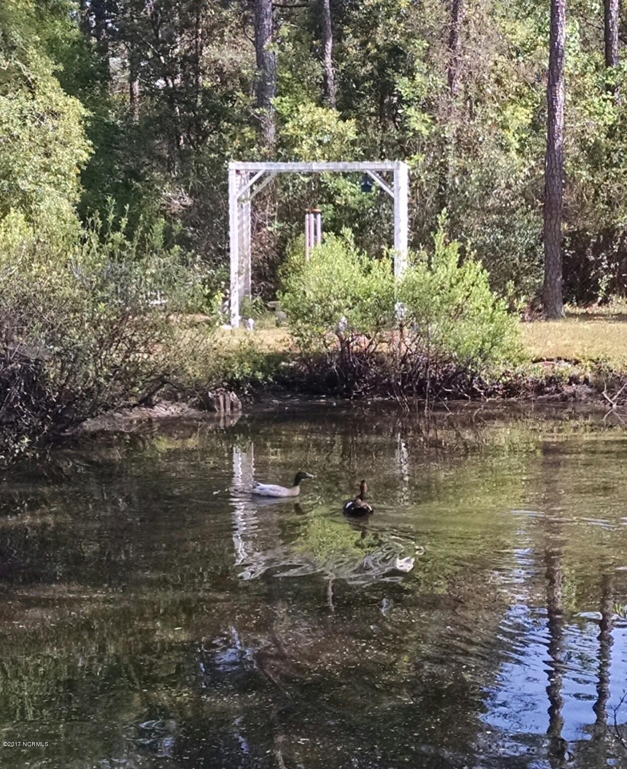 3701 East Boiling Spring Road Southport, NC 28461 - Photo 34 of 54 garden pond