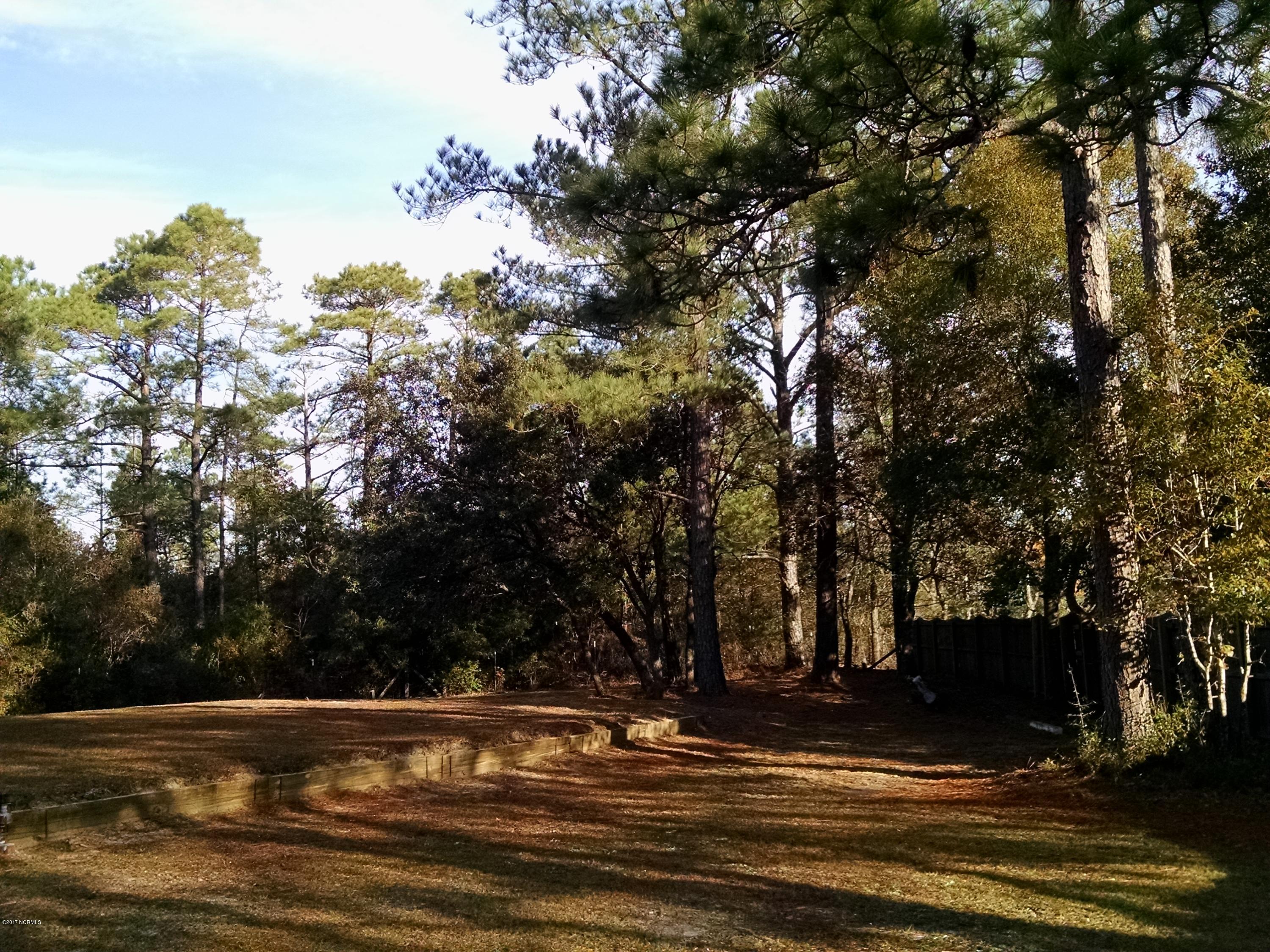 3701 East Boiling Spring Road Southport, NC 28461 - Photo 50 of 54 backyard