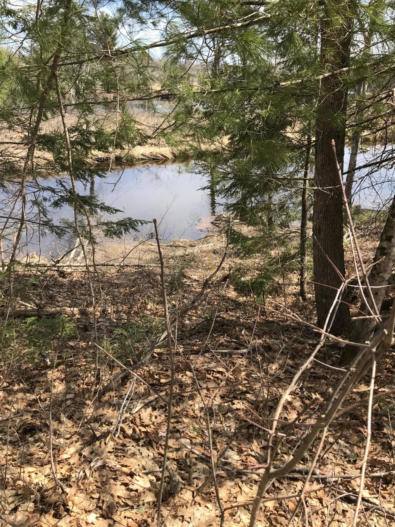 0 Reynolds Road Brooks, ME 04921 - Photo 10 of 14 B75E4471-3A3D-4BD0-A6C5-AC47683869BD