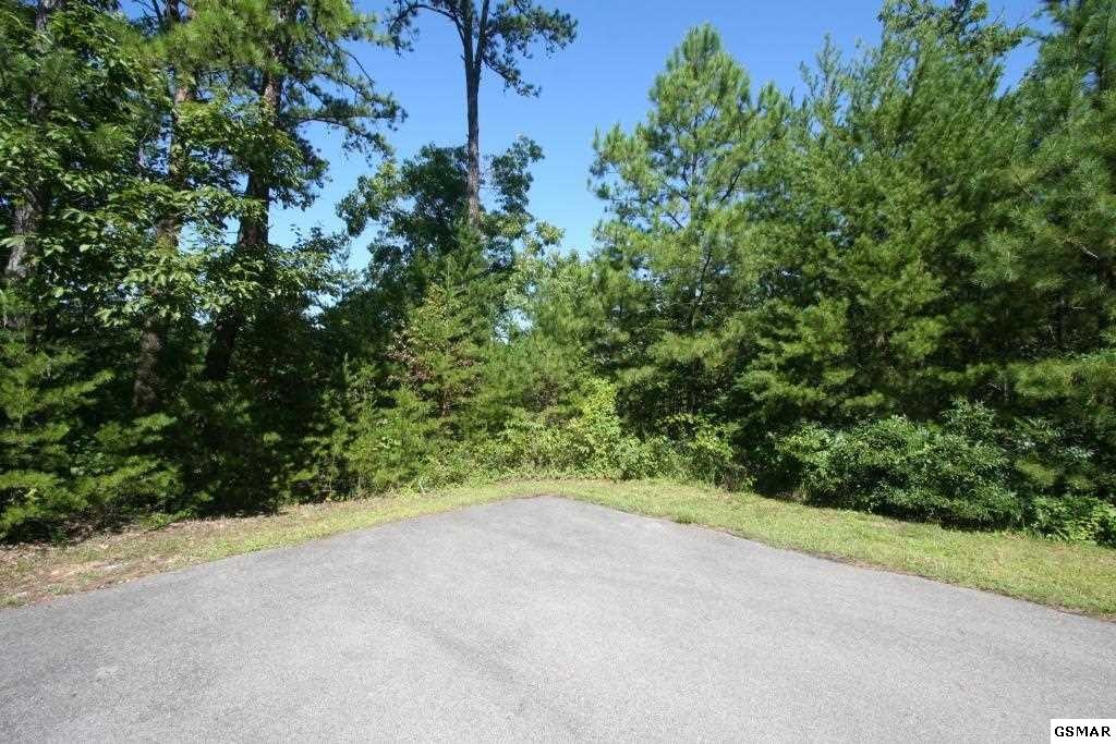 1615 Dove Wing Way Sevierville, TN 37862 - Photo 3 of 6