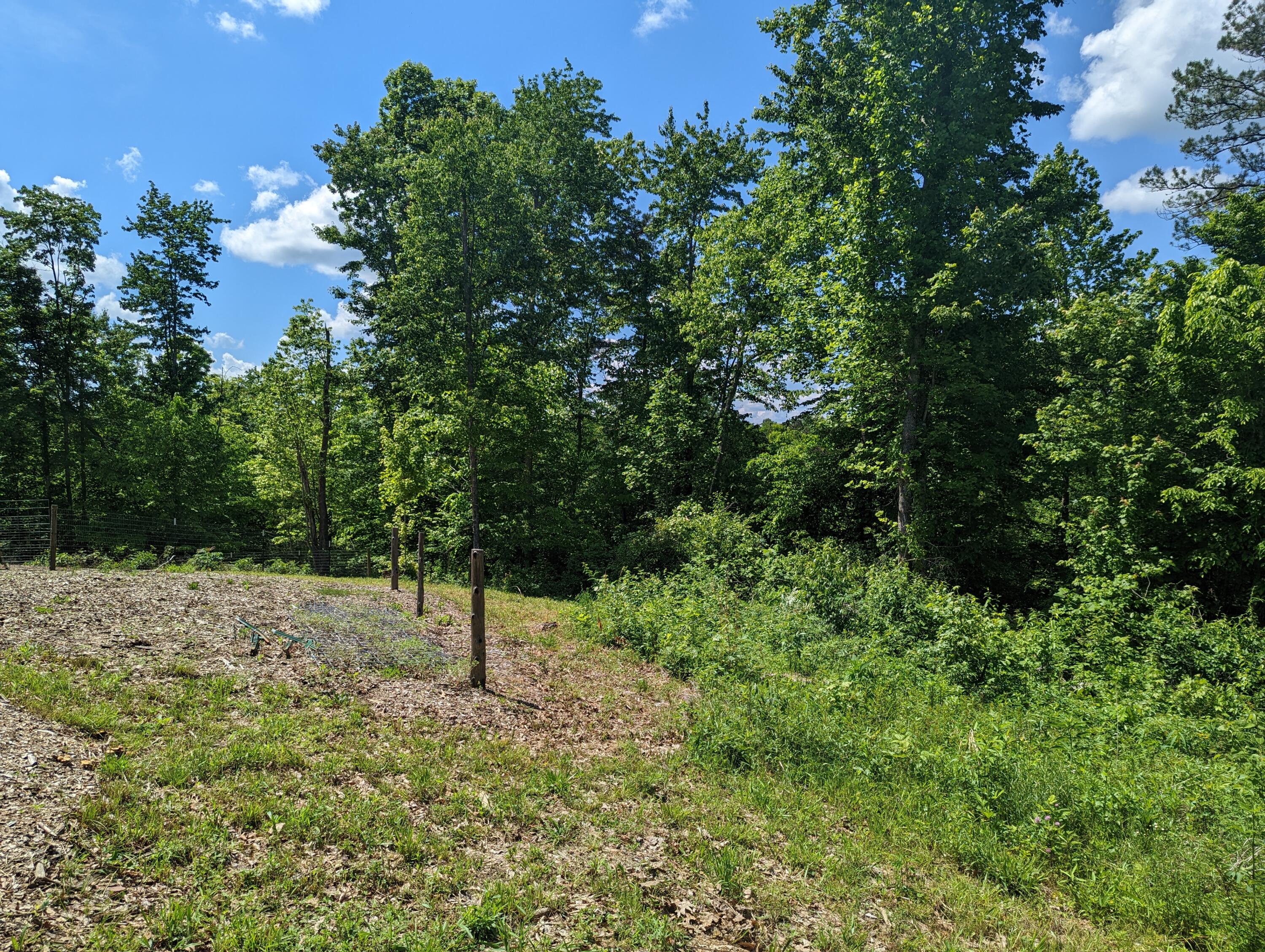 98 Hemlock Subdivision Road Williamsburg, KY 40769 - Photo 3 of 31 PXL_20220515_190811130