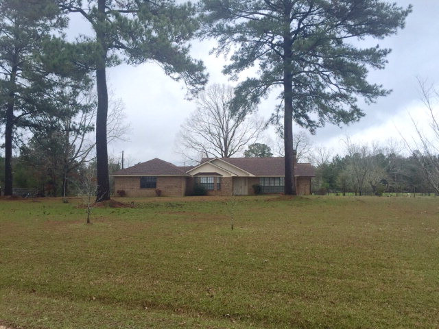 Main View