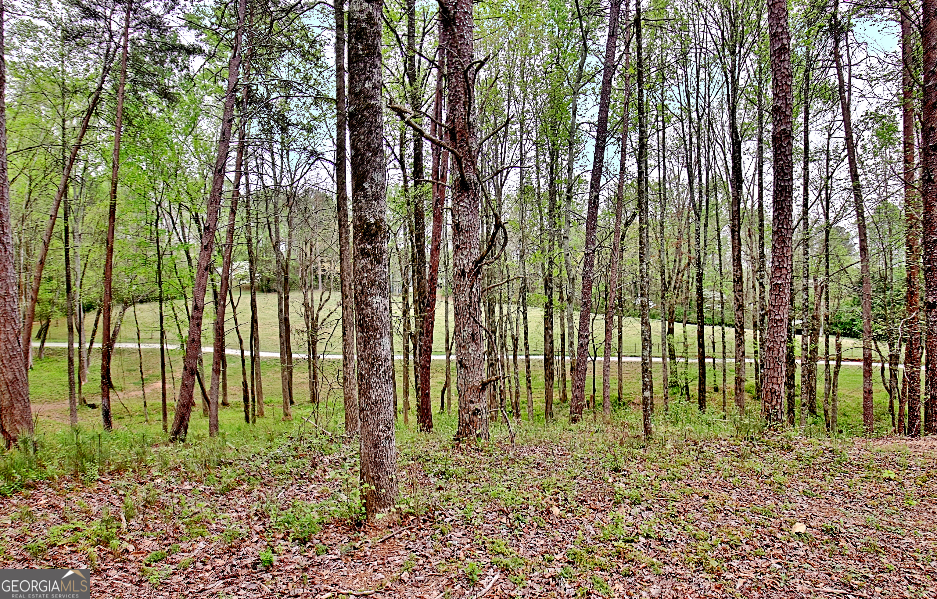 5855 Tony Peck Road Murrayville, GA 30564 - Photo 73 of 89