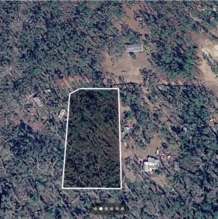 Dove Lane Perry, FL 32348 - Photo 2 of 6