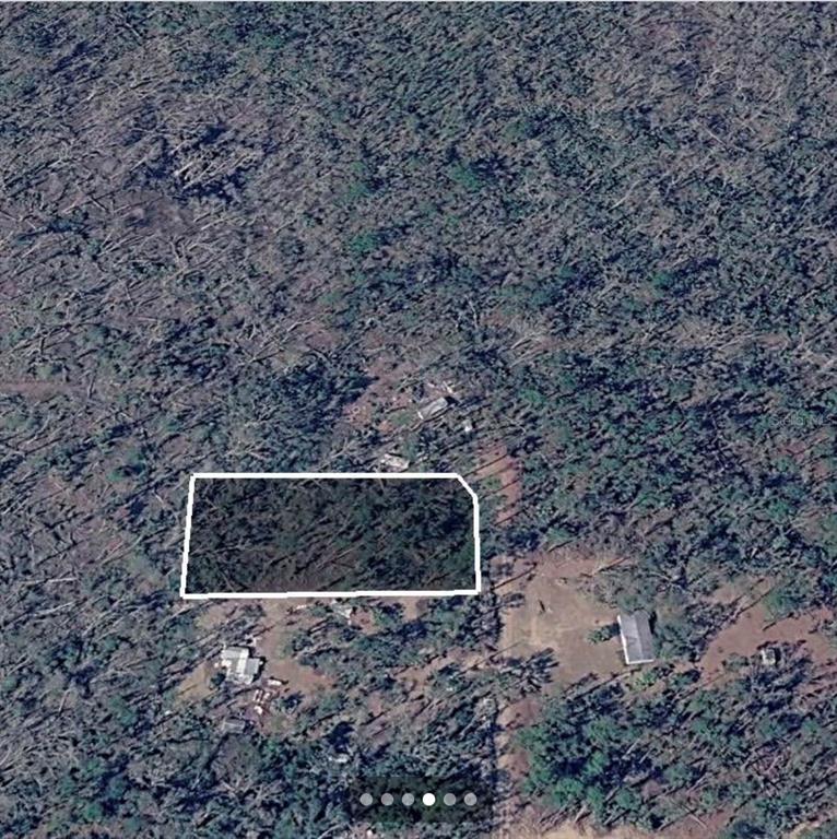 Dove Lane Perry, FL 32348 - Photo 4 of 6 a view of a dry yard