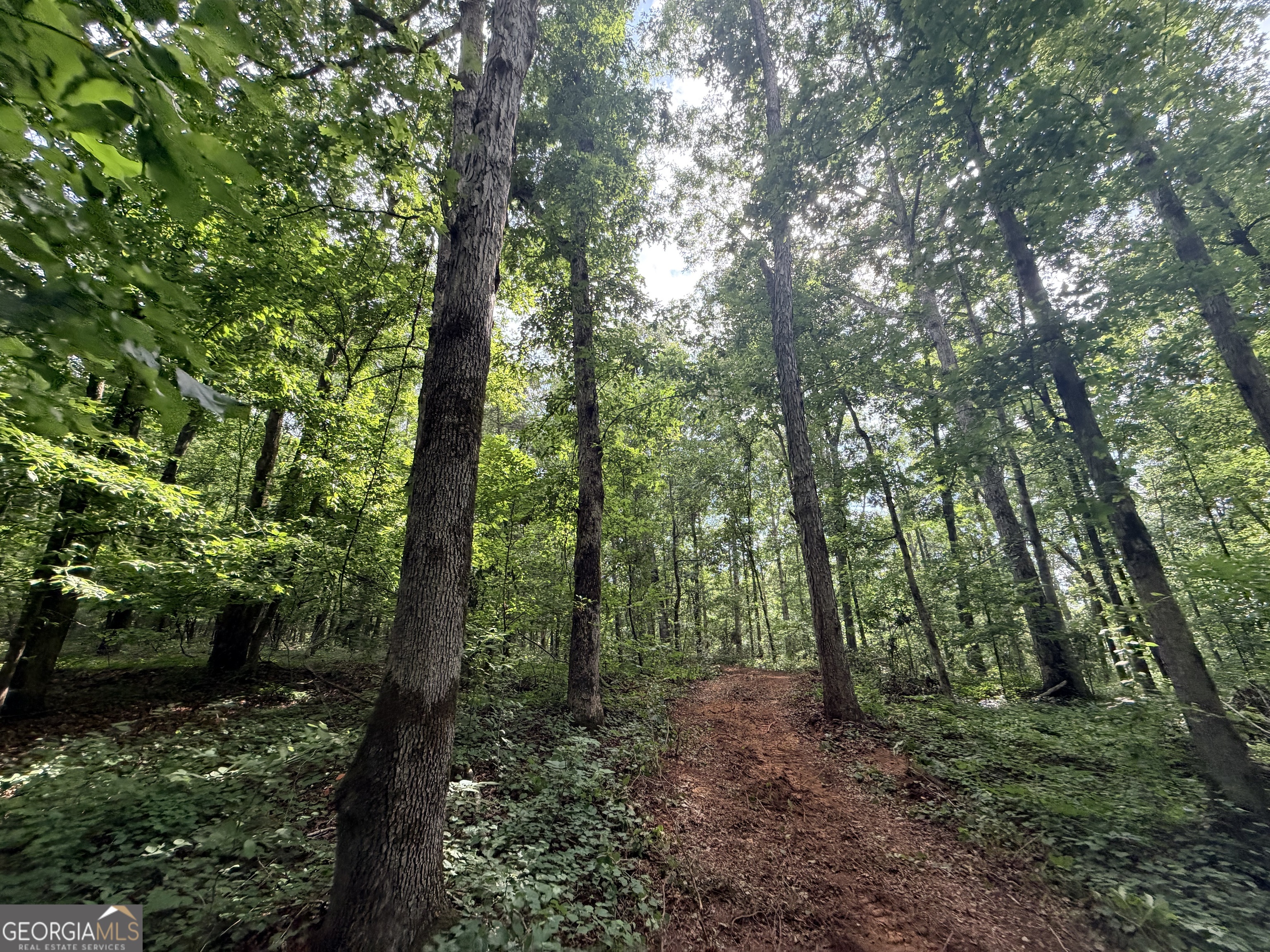 1590 James Adams Road Danielsville, GA 30633 - Photo 19 of 98