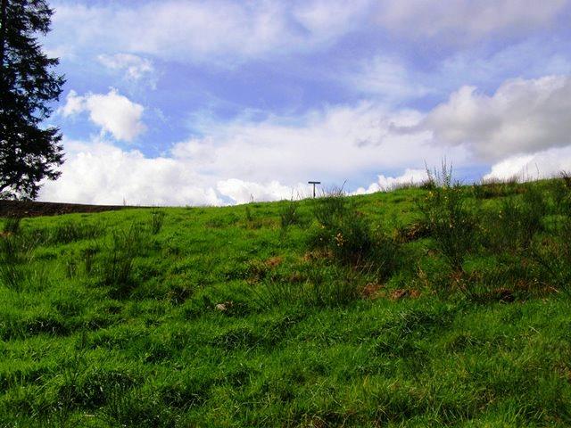Lot 40 Skyview Road Tillamook, OR 97141 - Photo 8 of 24 P3180259.JPG