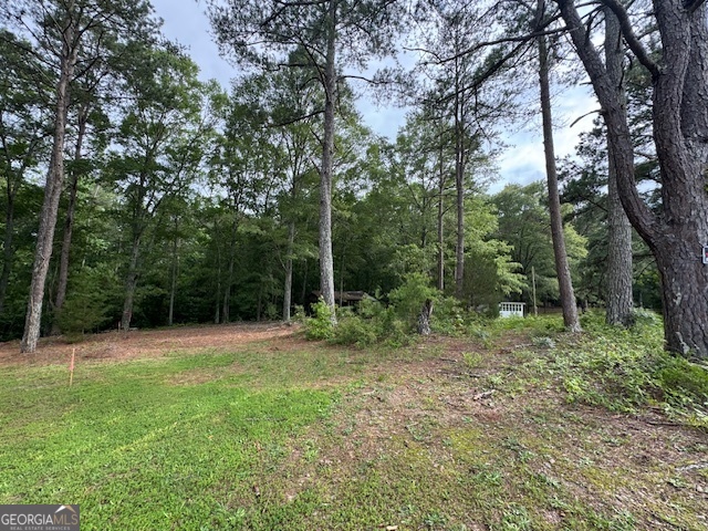 164 Holliday Road Franklin, GA 30217 - Photo 1 of 1