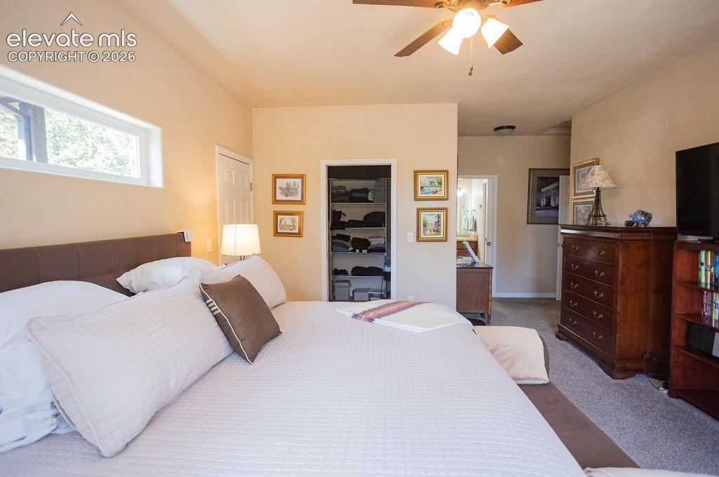 45 Valley Circle Divide, CO 80814 - Photo 11 of 42 a spacious bedroom with a bed and a television