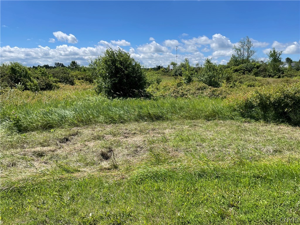 0 May Irwin Road Clayton, NY 13624 - Photo 1 of 1 Gallery Image 1