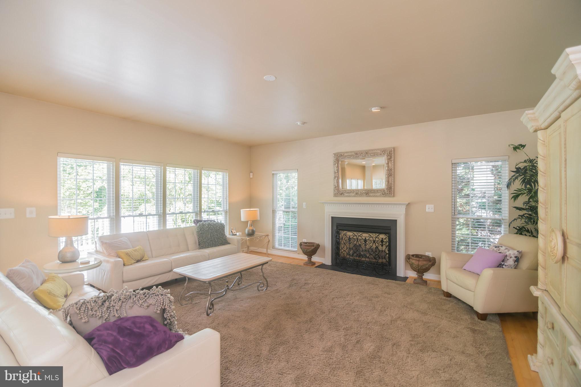 13942 Bromfield Road Germantown, MD 20874 - Photo 11 of 30 Family Room w Fireplace