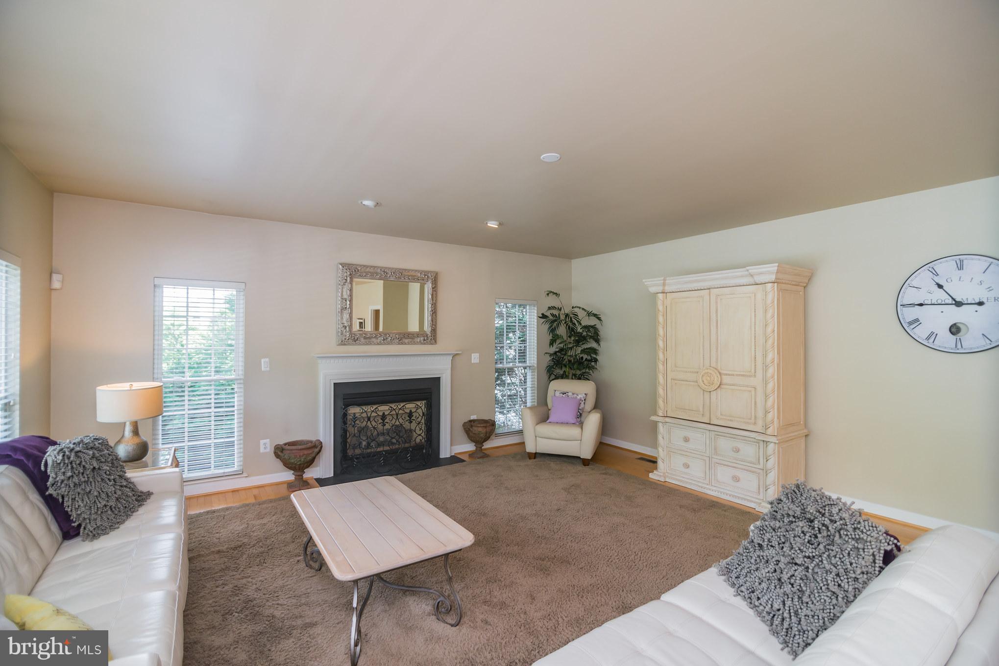13942 Bromfield Road Germantown, MD 20874 - Photo 12 of 30 Family Room